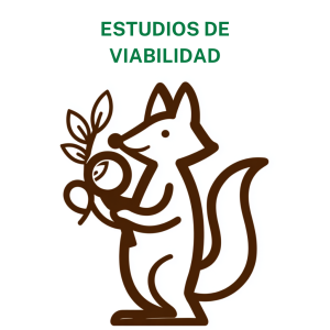 Estudios de viabilidad