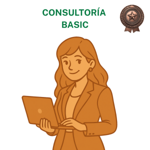 Consultoría Basic