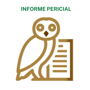 Informe Pericial