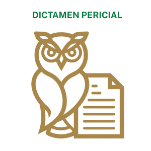 Dictamen Pericial