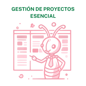 Gestión de proyectos Esencial