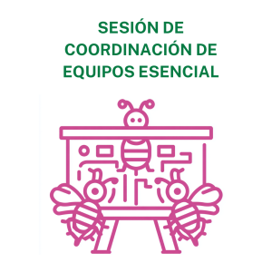 Sesión de coordinación de equipos Esencial