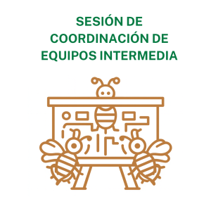 Sesión de coordinación de equipos Intermedia