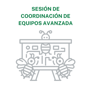 Sesión de coordinación de equipos Avanzada