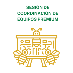 Sesión de coordinación de equipos Premium
