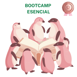 Bootcamp Esencial
