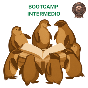 Bootcamp Intermedio