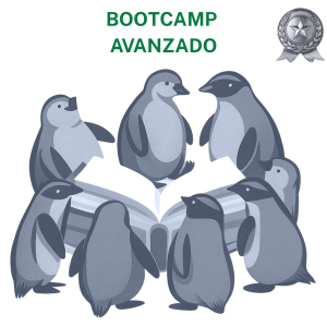 Bootcamp Avanzado
