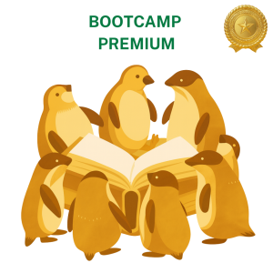 Bootcamp Premium